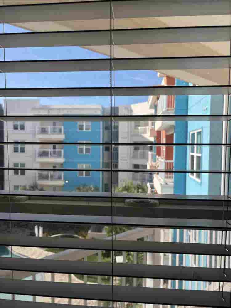 Student housing: all female unit