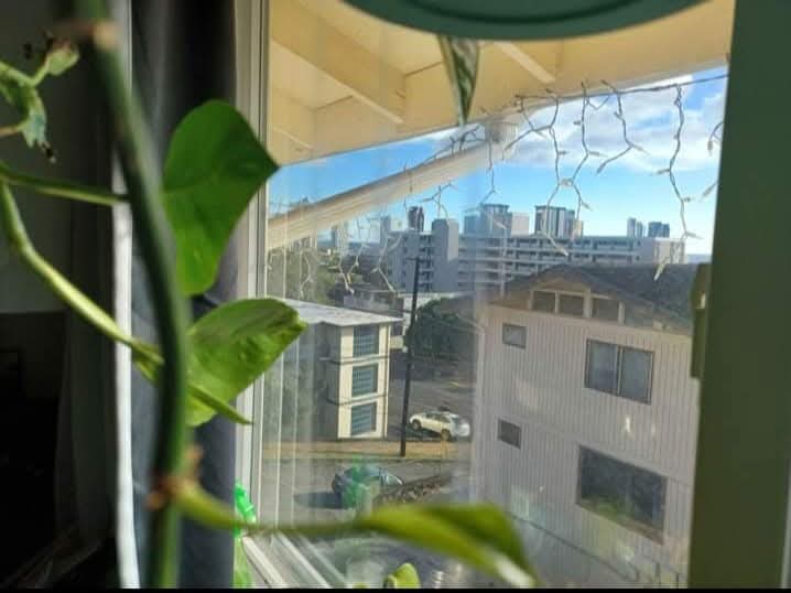 Honolulu Room/Bath for rent