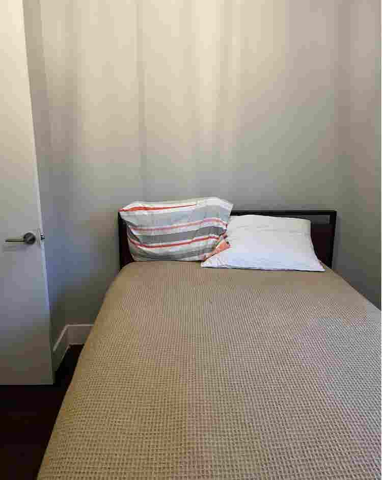 Male Roommate Wanted, $