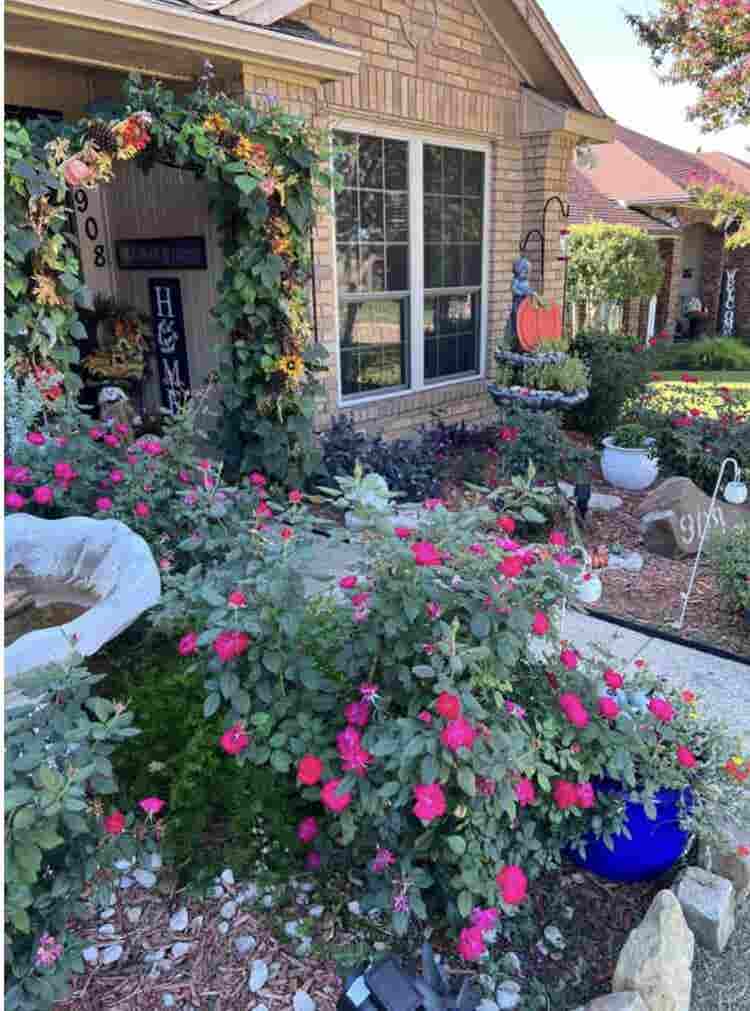 Newly Remodeled Room Available!”