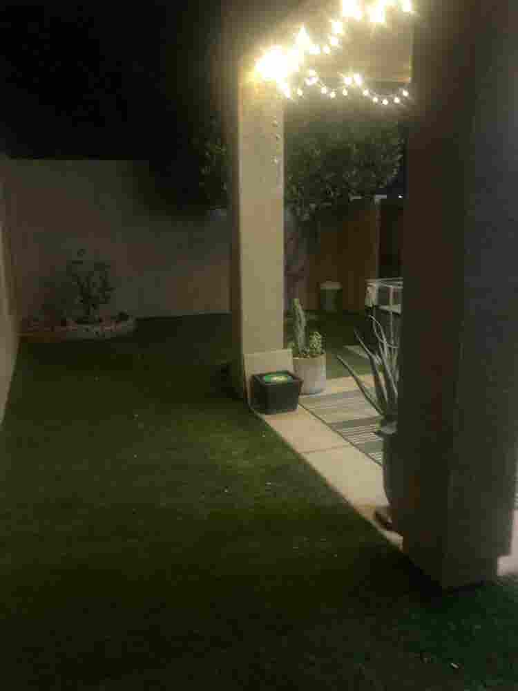 In need of roommate in North Phx !