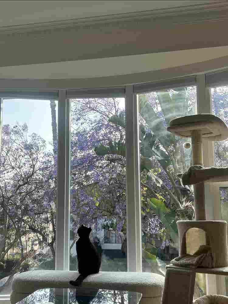 Room available in West Hollywood!