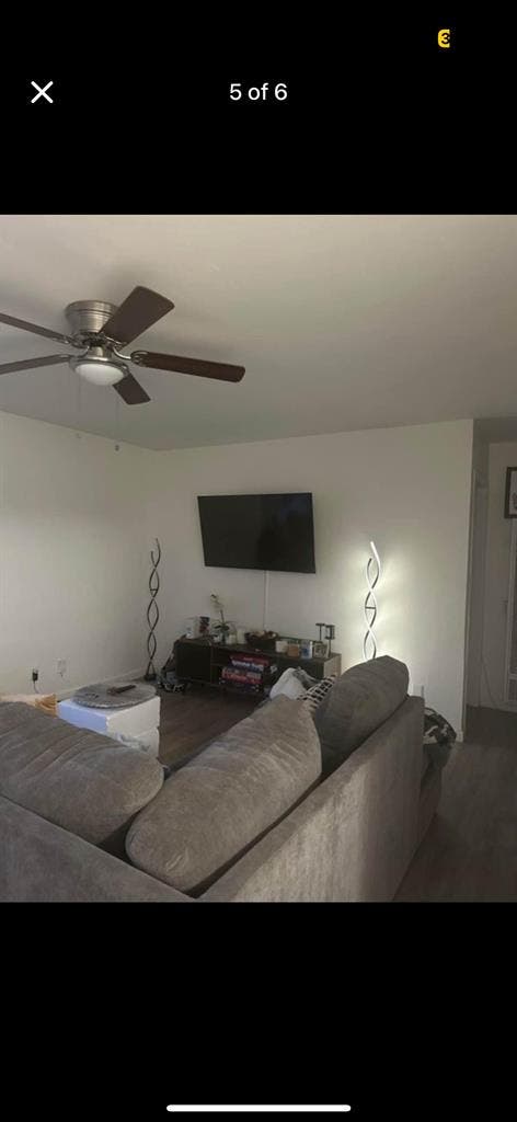 Roommate needed