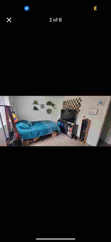 Roommate needed