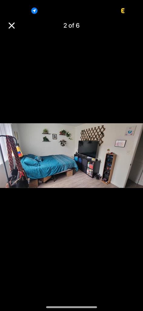 Roommate needed