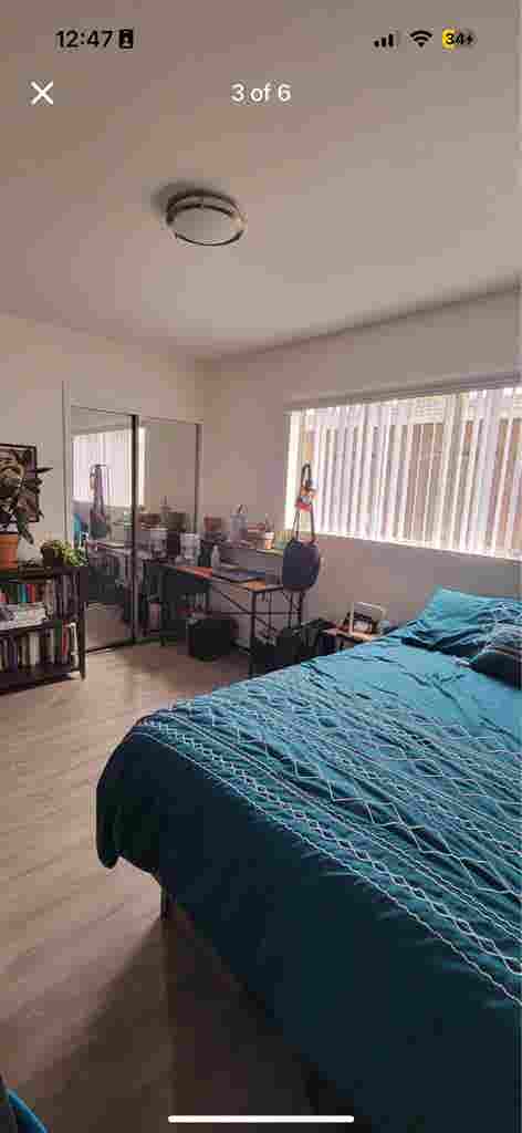 Roommate needed