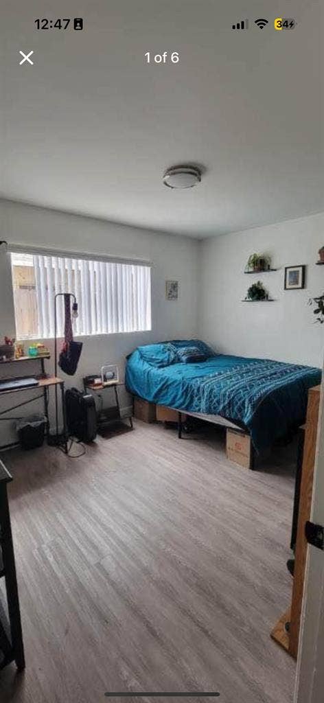 Roommate needed