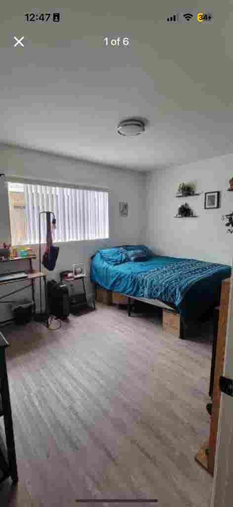 Roommate needed