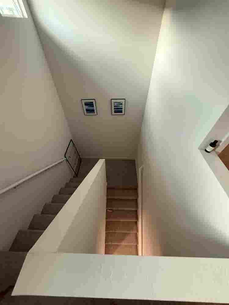 find roommate!