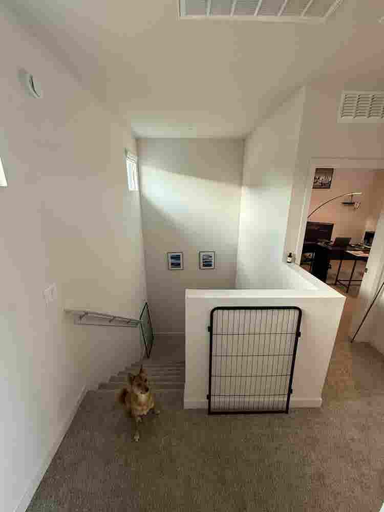 find roommate!