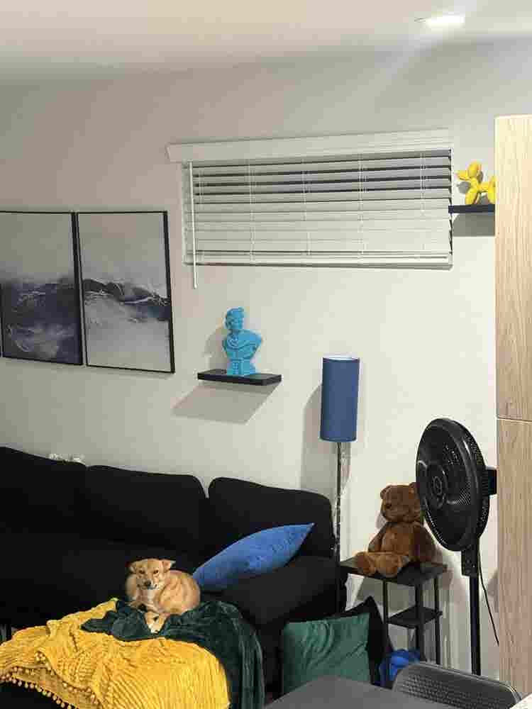find roommate!