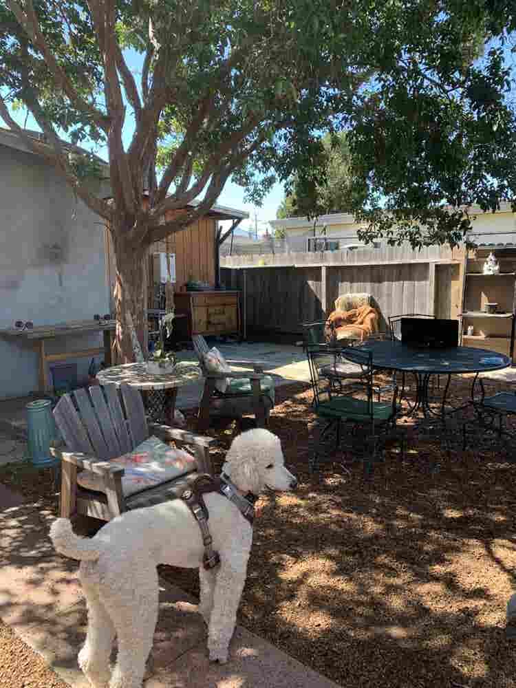 Room for Rent in Richmond