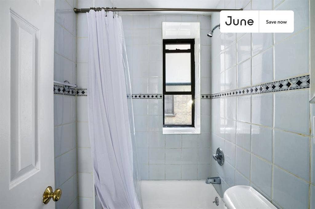 1 BR in New York City