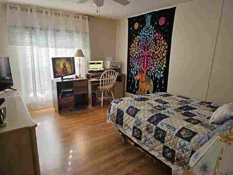 Roommate needed