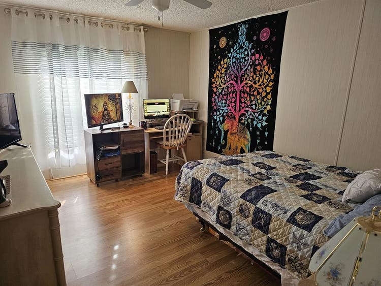 Roommate needed