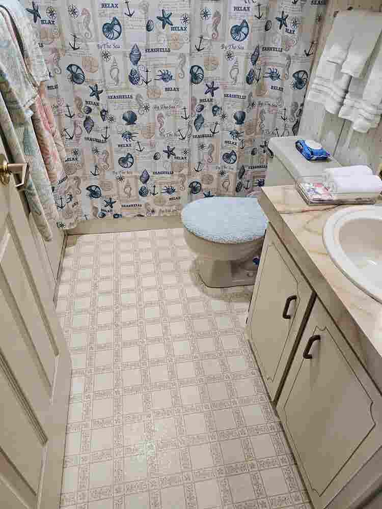 Roommate needed