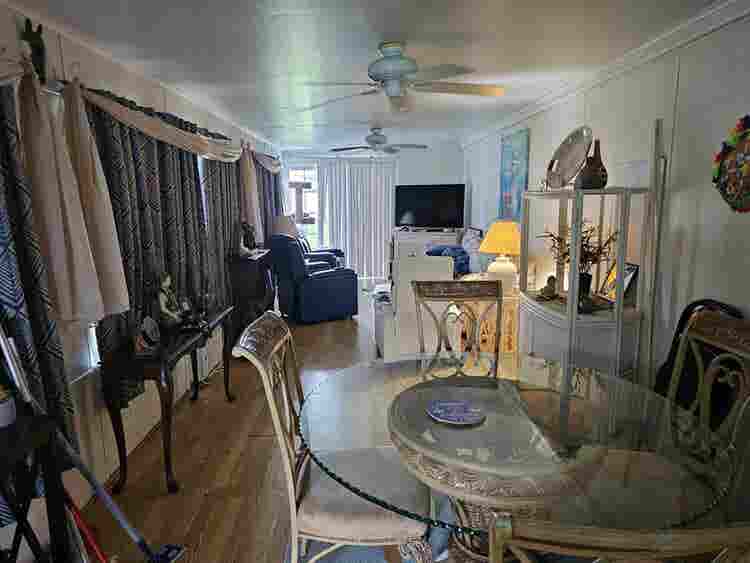 Roommate needed