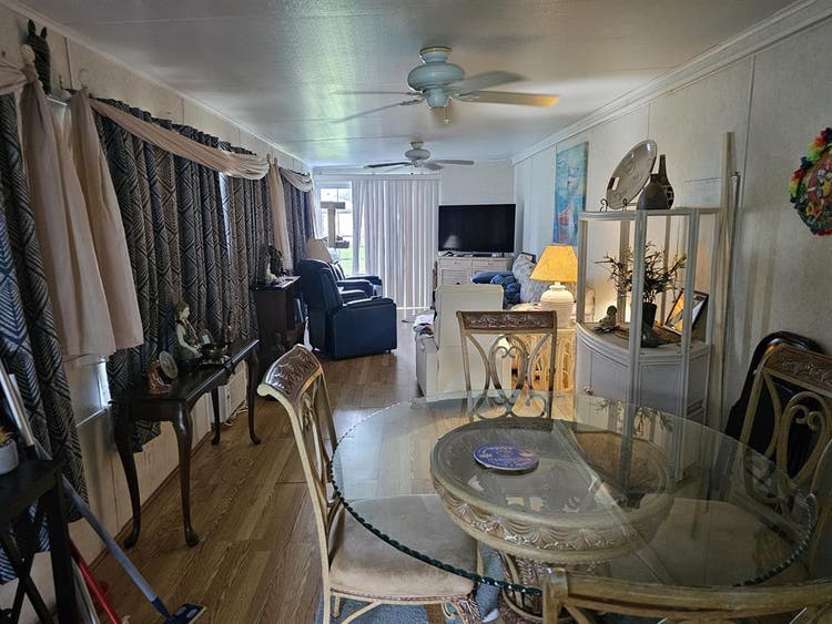 Roommate needed