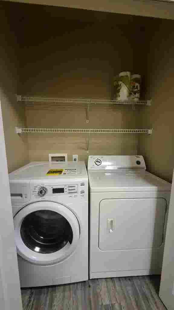 Need to re-lease asap!
