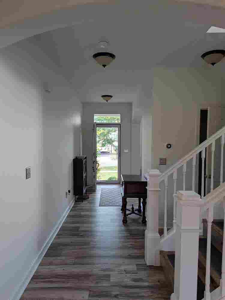 Roommate Needed