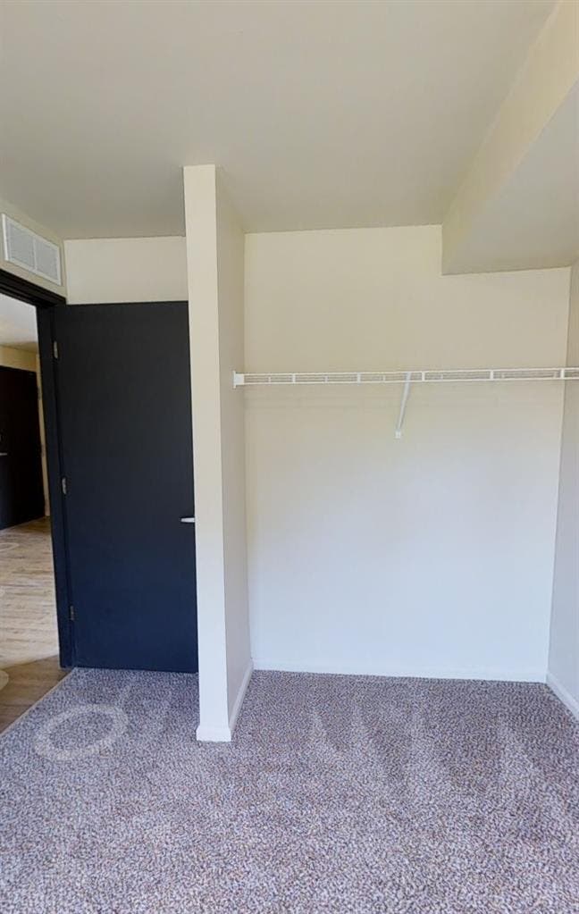 Roommate Needed!