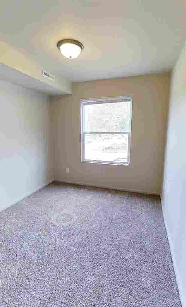 Roommate Needed!