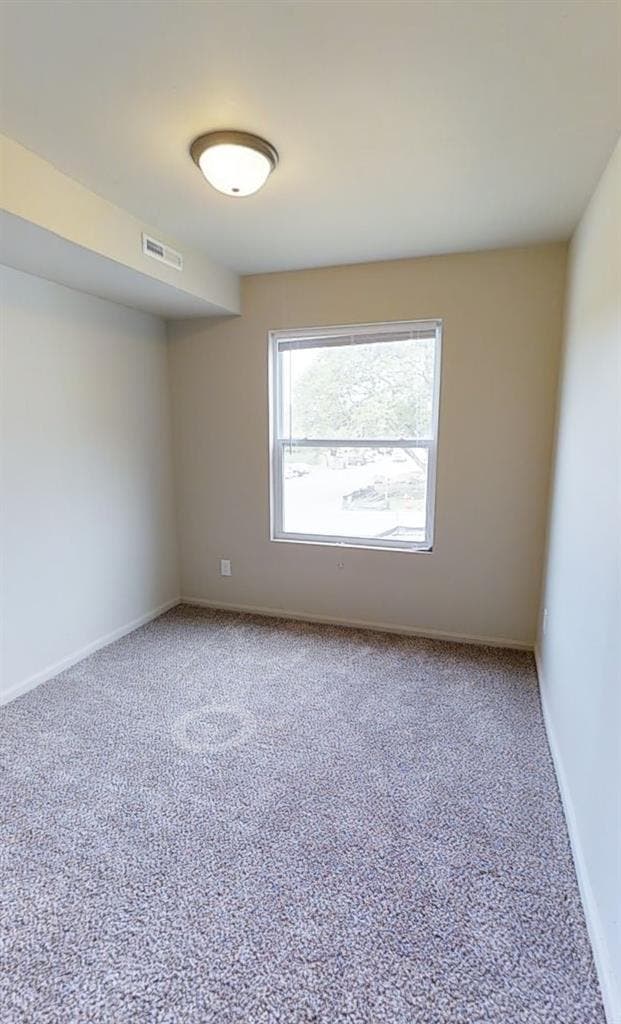 Roommate Needed!
