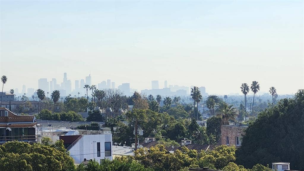 One bedroom in Hollywood view apt