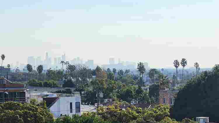 One bedroom in Hollywood view apt