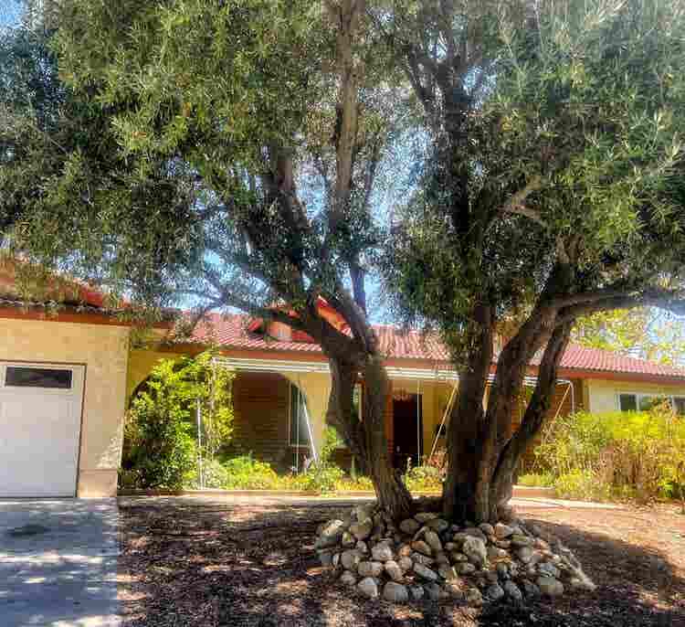 Lg Furnished Room in Claremont