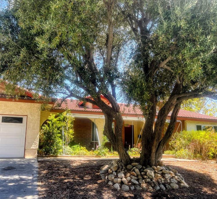 Lg Furnished Room in Claremont