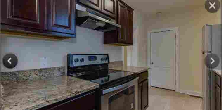 Looking for roommate around October