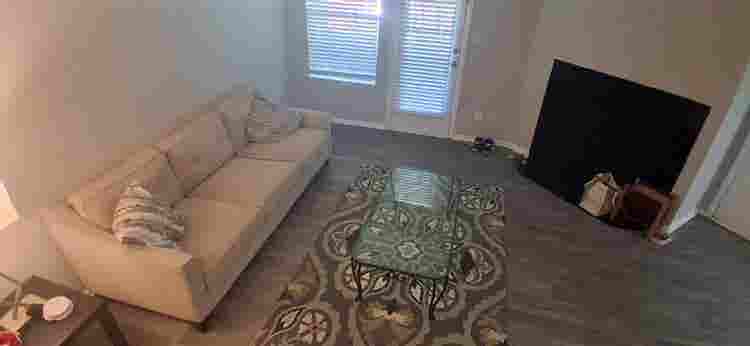 Looking for an easygoing roomy