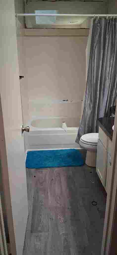 Looking for an easygoing roomy