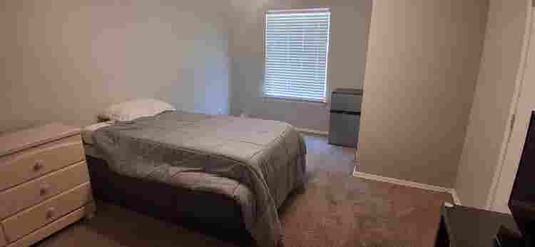 Looking for an easygoing roomy