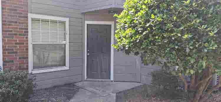 Looking for an easygoing roomy