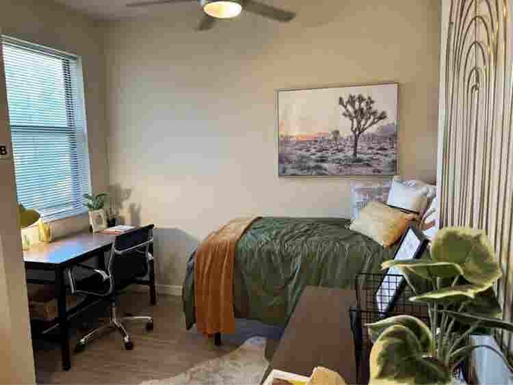 cheap suites room!