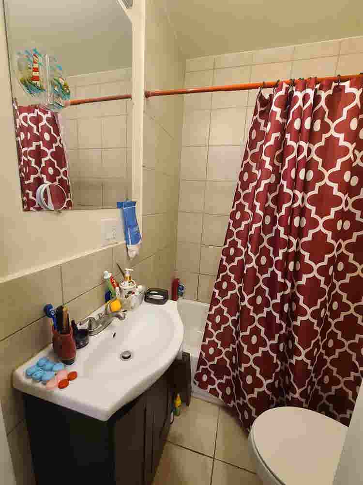 Room in University City Area