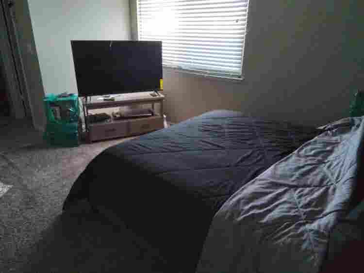 Seeking roommate that's quiet