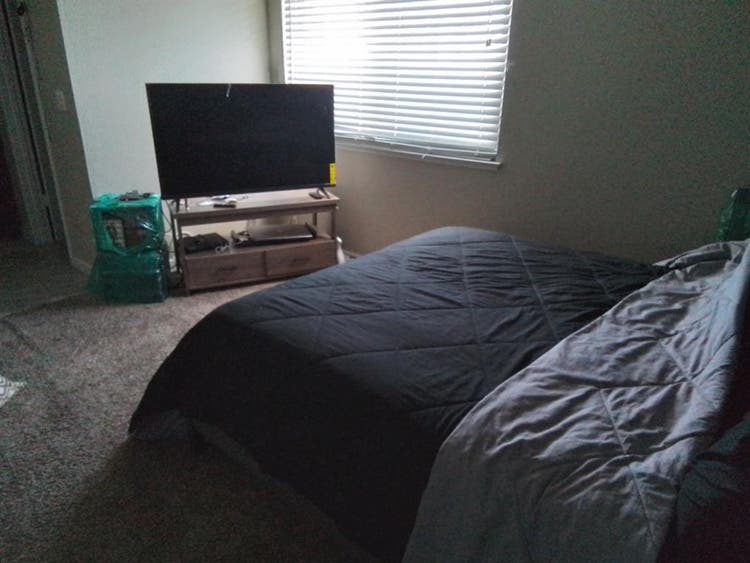 Seeking roommate that's quiet