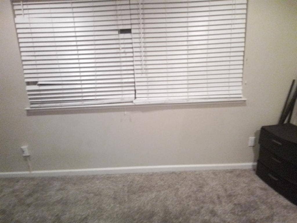 Seeking roommate that's quiet