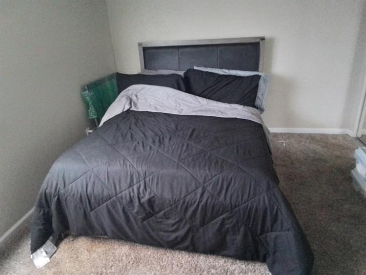 Seeking roommate that's quiet
