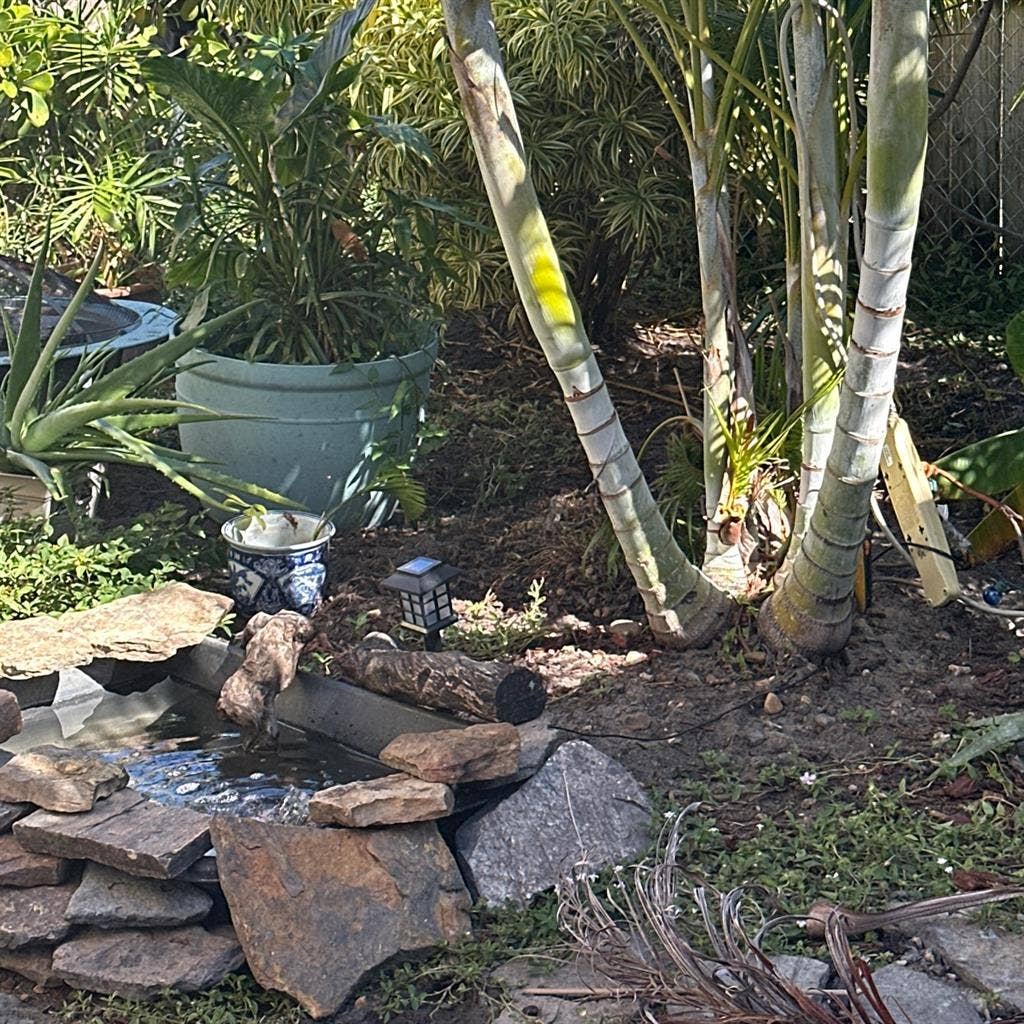 Artsy home -animals;) peace serene