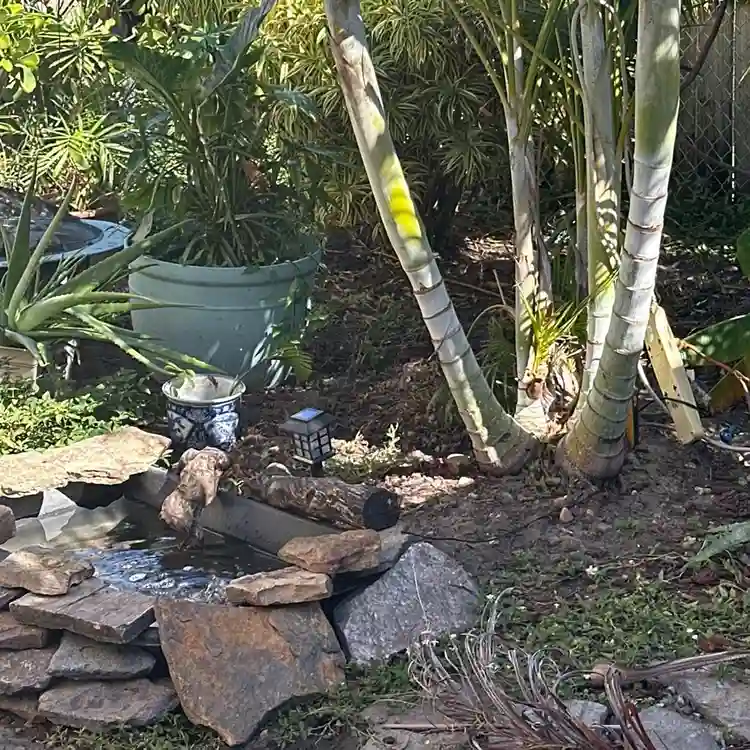 Artsy home -animals;) peace serene