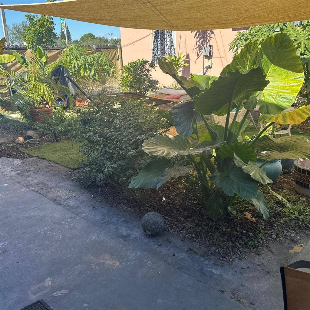 Artsy home -animals;) peace serene