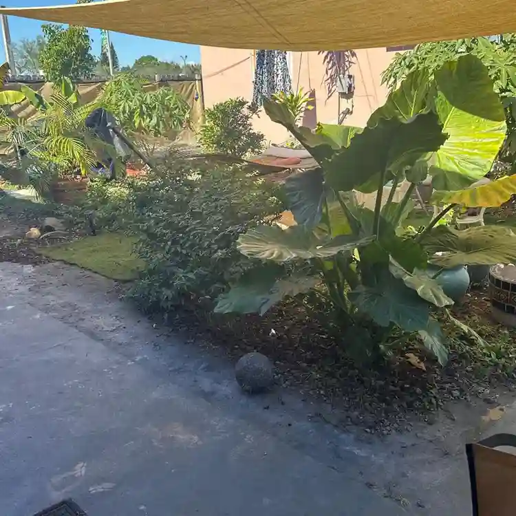 Artsy home -animals;) peace serene