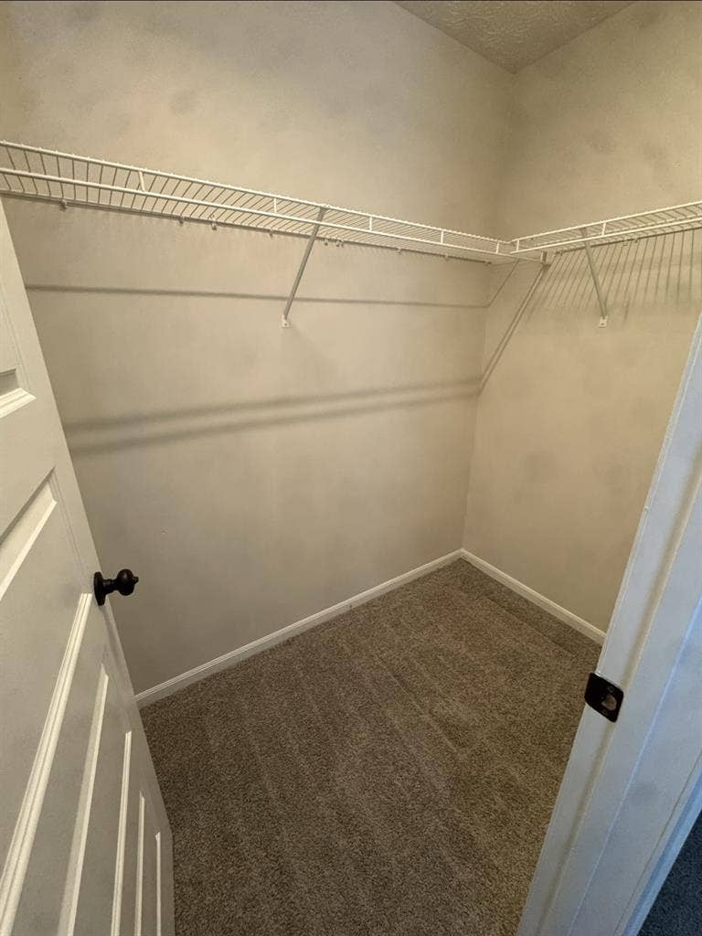 Room for rent - pet friendly
