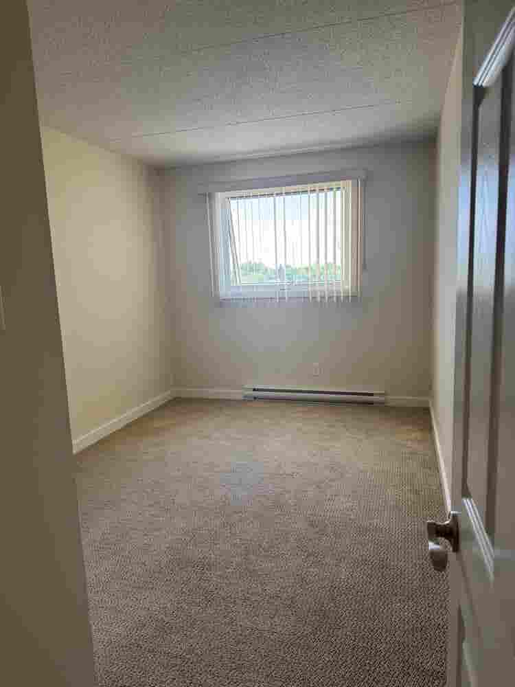 Shared apartment