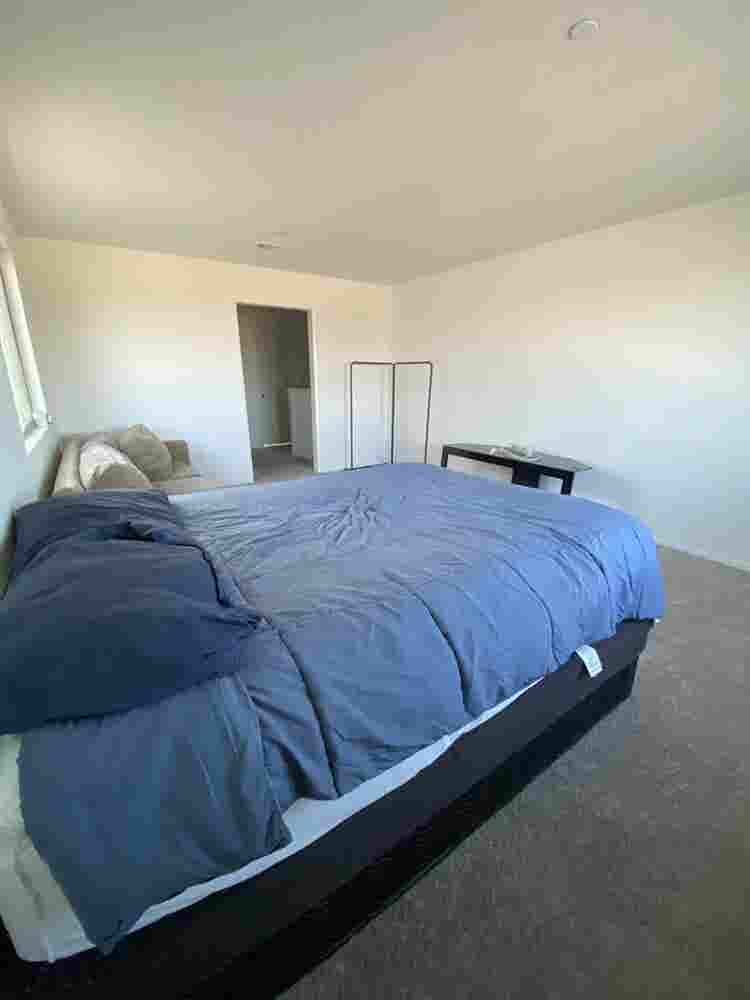 Looking for roommate