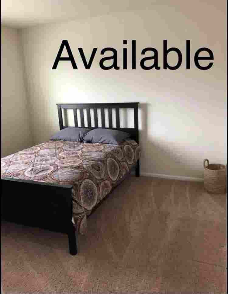 Room Rental Available!